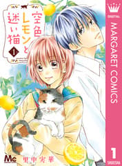 空色レモンと迷い猫の表紙